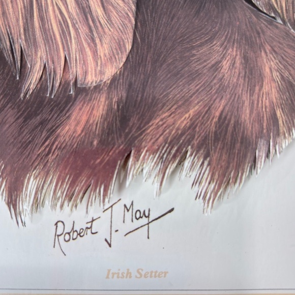 Irish Setter Dog 3D Print Signed By Artist Robert J. May Wooden Frame 9 X 11.5 - Picture 11 of 11